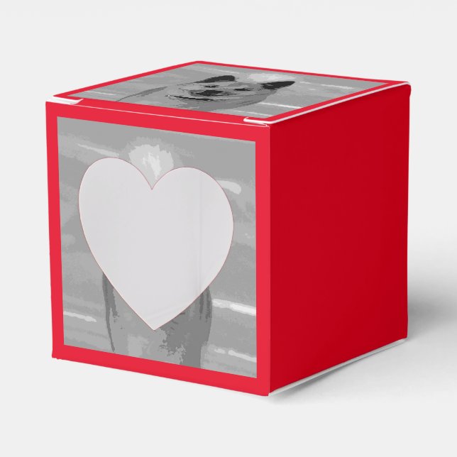 Caja Para Regalos Sheepdog islandés20151203 (Anverso)