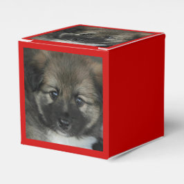 Caja Para Regalos Sheepdog islandés 2014-0808