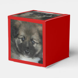Caja Para Regalos Sheepdog islandés 2014-0808