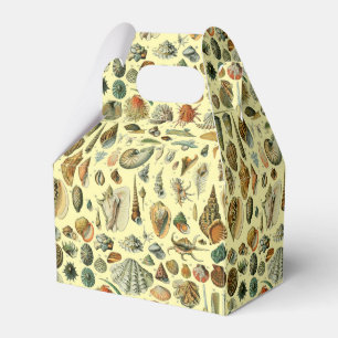 Caja Para Regalos Shell de conchas marinas Mollusk Clam Elegante Art