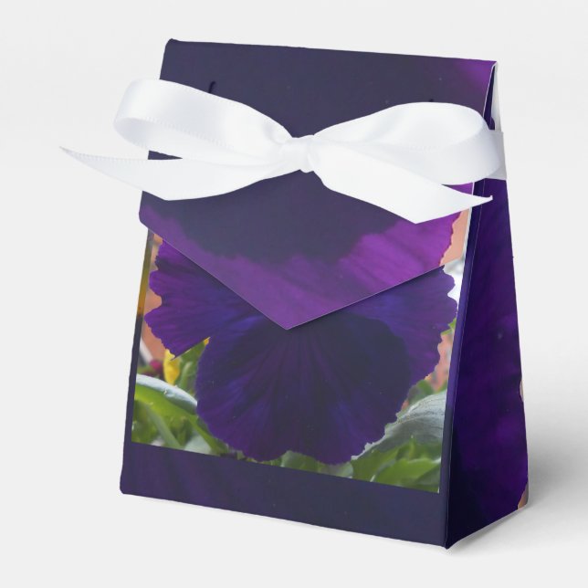 Caja Para Regalos Sibylla (Front Side)
