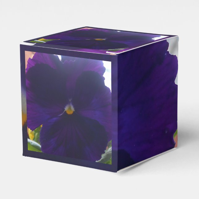 Caja Para Regalos Sibylla (Costado Anverso)