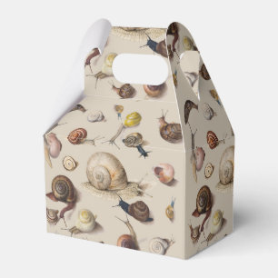 Caja Para Regalos Snail Slug Garden Mascota Gastropod Snails Botanic