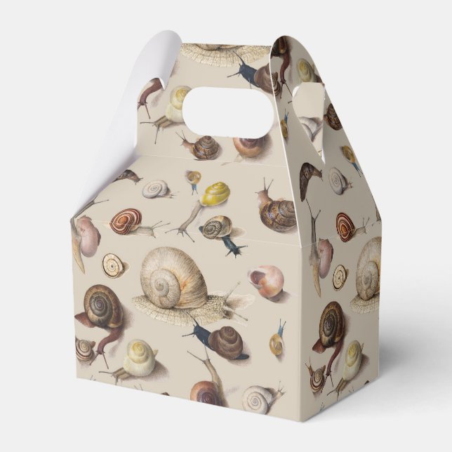 Caja Para Regalos Snail Slug Garden Mascota Gastropod Snails Botanic (Front Side)