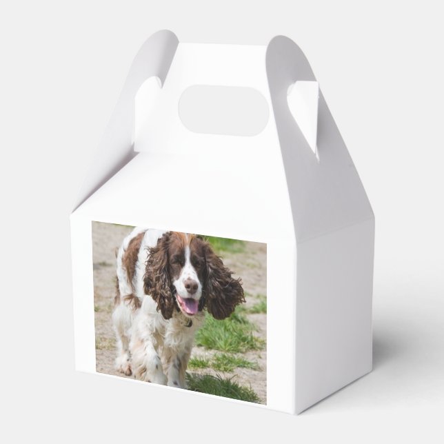 Caja Para Regalos spaniel.png (Front Side)