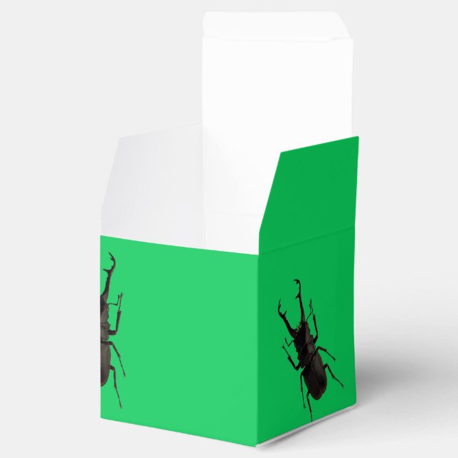 Caja Para Regalos Stag Beetle (Abierto)