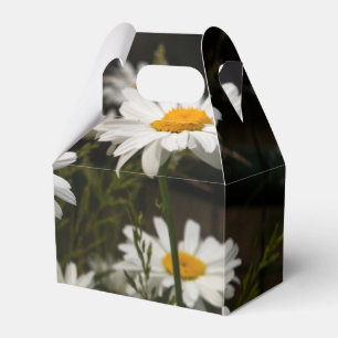 Caja Para Regalos Summer Daisies Favor Box