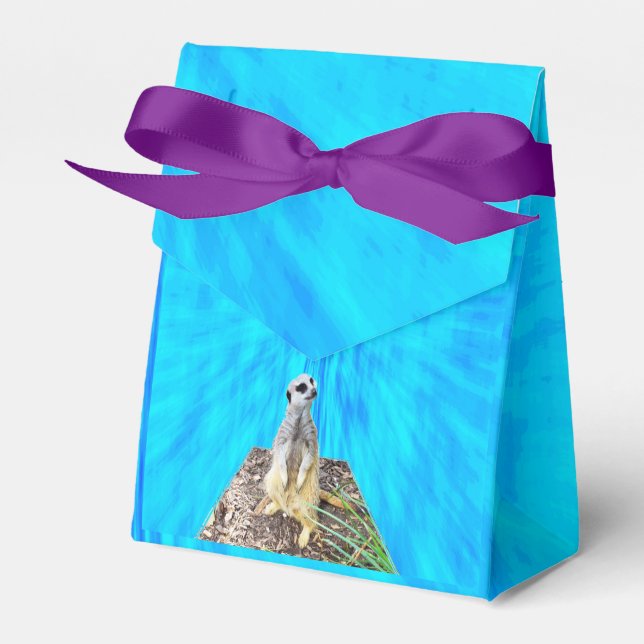 Caja Para Regalos Suricata en esponja azul, (Front Side)