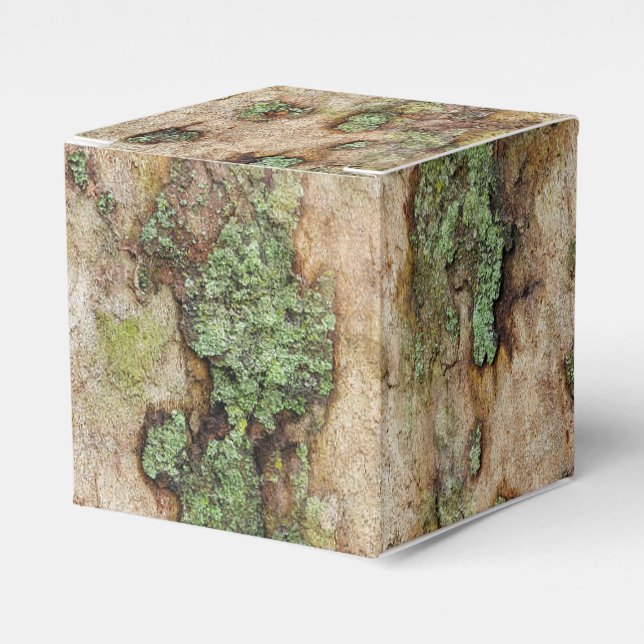 Caja Para Regalos Sycamore Tree Bark Moss Lichen (Costado Anverso)