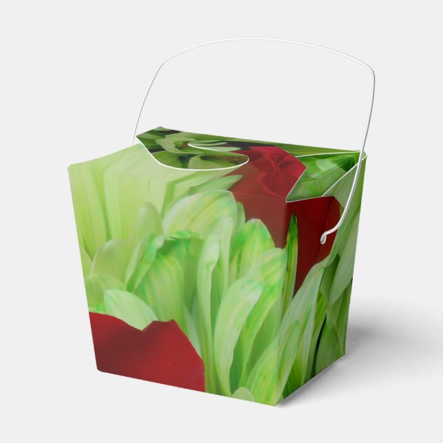Caja Para Regalos Thomasse (Front Side)