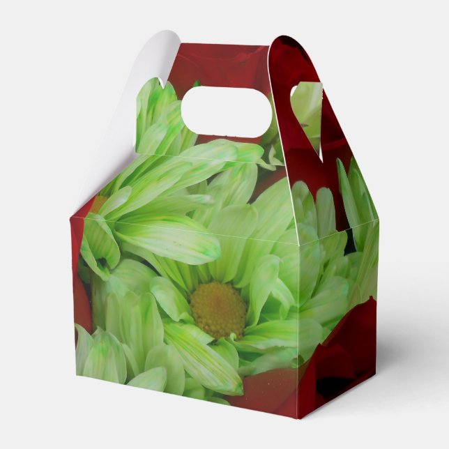 Caja Para Regalos Thomasse (Front Side)