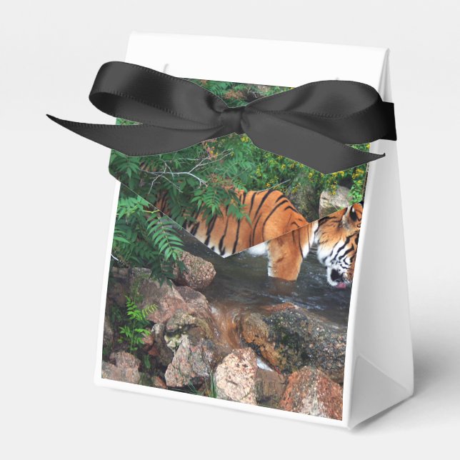 Caja Para Regalos Tigre de bebida de otoño (Front Side)