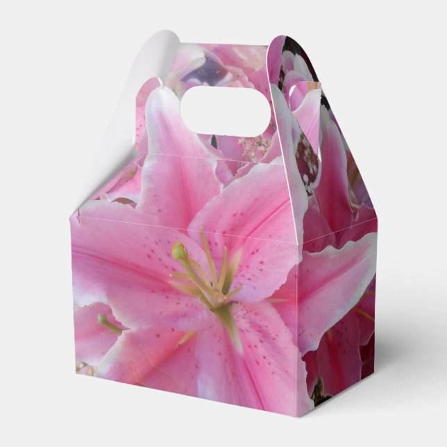 Caja Para Regalos Tommasina (Front Side)