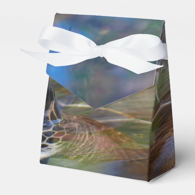 Caja Para Regalos Tortuga marina (Front Side)