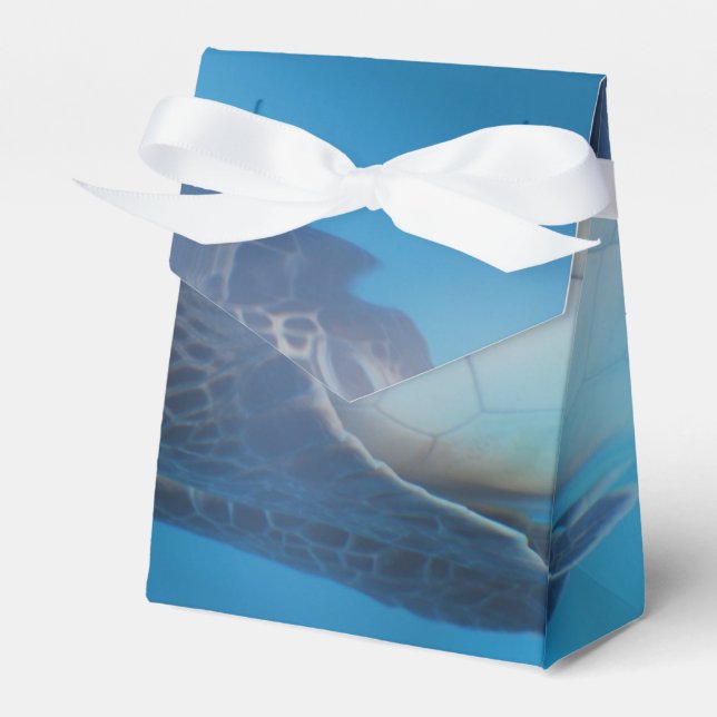 Caja Para Regalos Tortuga marina (Front Side)