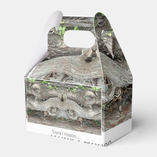 Caja Para Regalos Trunk I Hooo...