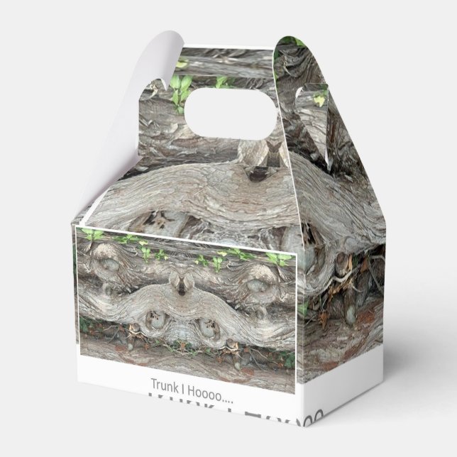 Caja Para Regalos Trunk I Hooo... (Front Side)