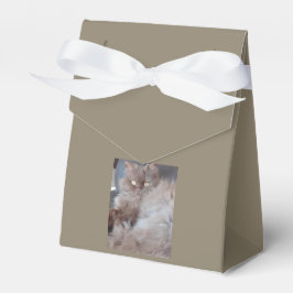 Caja Para Regalos Un gato mimado