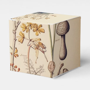 Caja Para Regalos Vintage Mushroom Naturalist