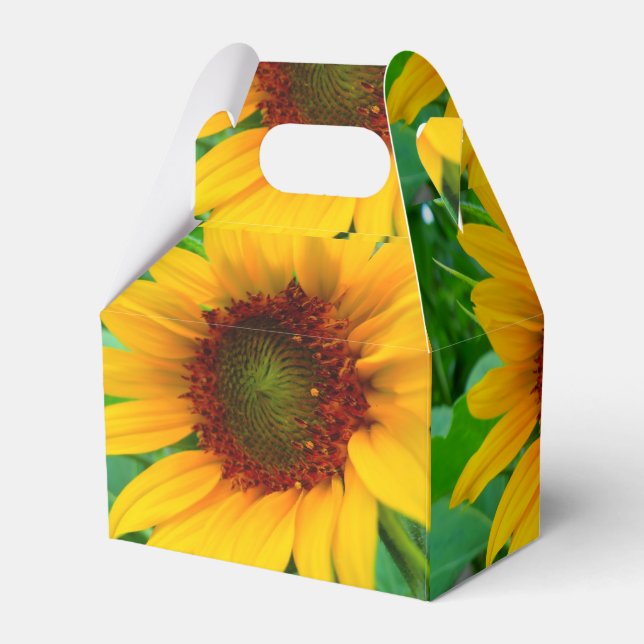 Caja Para Regalos Vivid Sunflower (Reverso)
