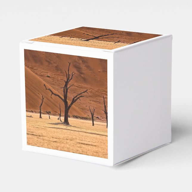 Caja Para Regalos Vlei muerto, Namibia (Costado Anverso)