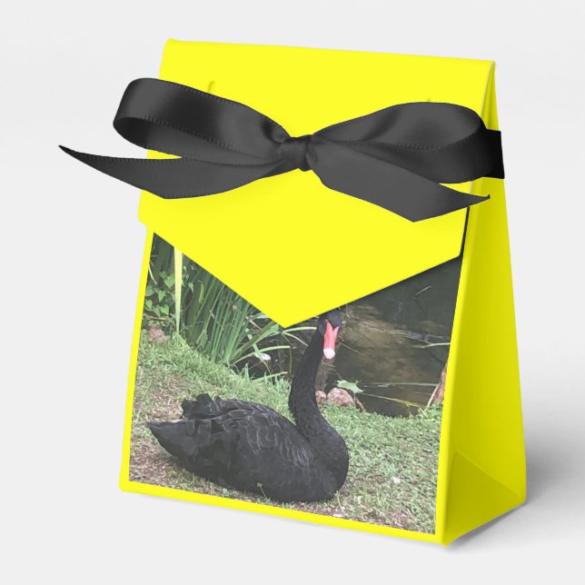 Caja Para Regalos Zoo Love (Front Side)