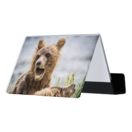 Caja Para Tarjetas De Visita Cubos Grizzly Buscando Su Mamá