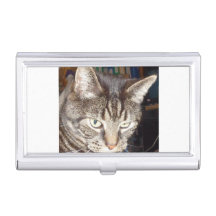 Dave está vigilando a su titular de tarjetas de vi