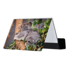 Caja Para Tarjetas De Visita Pequeña koala dulce