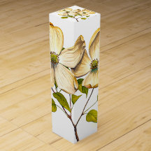Dogwood
