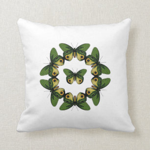 Caja verde de la almohada de la mariposa