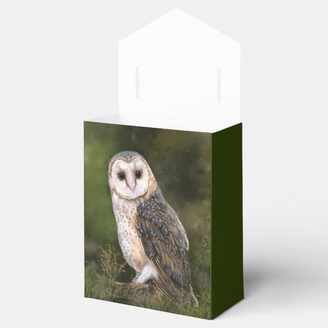 Cajas de Favor de Búho de Barn (Abierto)