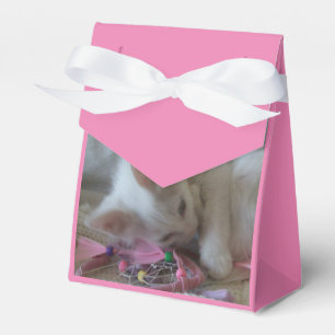 Cajas de Favor de Gatito Blanco