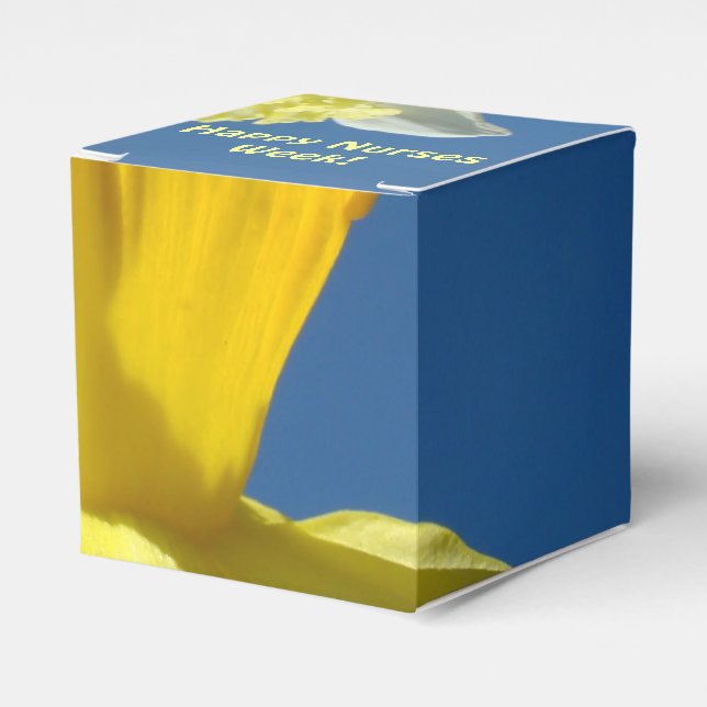 Cajas de favores de la Semana de la Enfermera Feli (Costado Anverso)