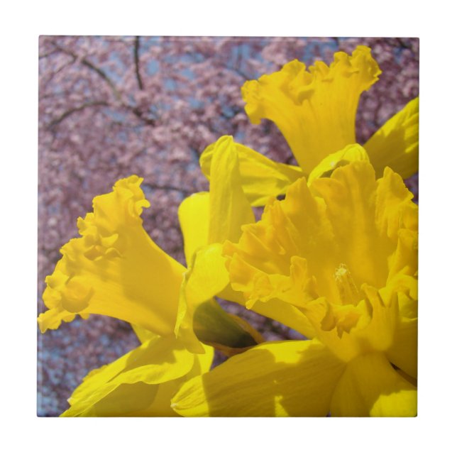 Cajas de recuerdos de arte de baldosas de narcisos (Frente)