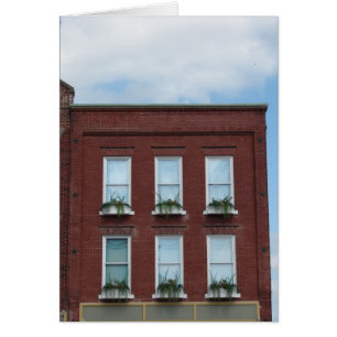 Cajas de ventana