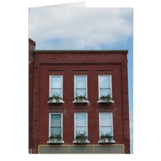 Cajas de ventanas (Frente)