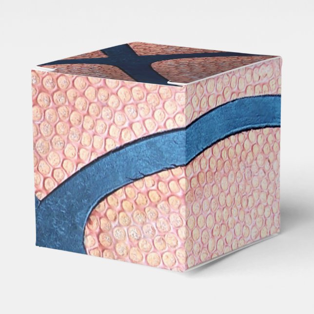 Cajas Favoritas de Baloncesto (Costado Anverso)