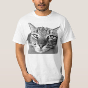 Cajón de gato en tabby, camiseta para hombres