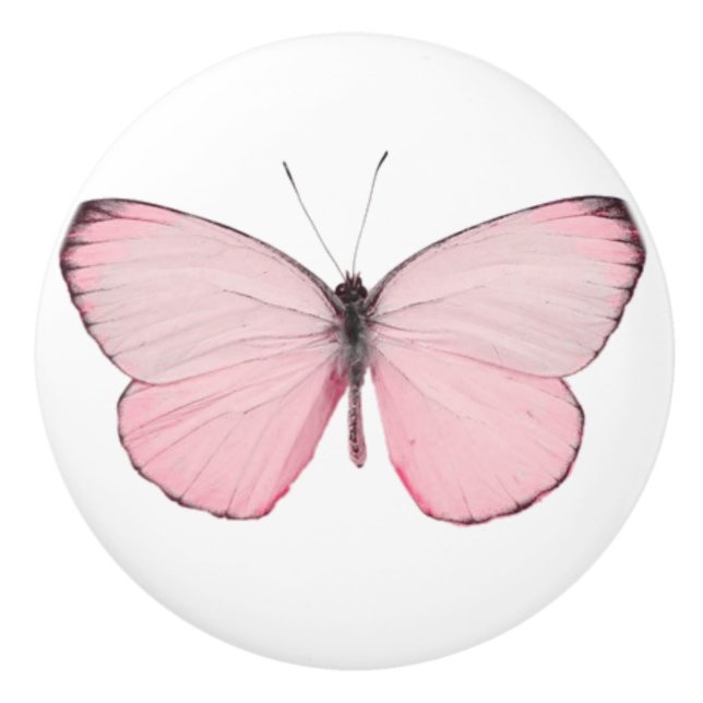 Cajón de mariposa rosa o pomo de la puerta (Anverso)