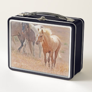 Cajón de orujo de caballo salvaje