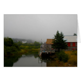 Cala de foca, Gran Manán