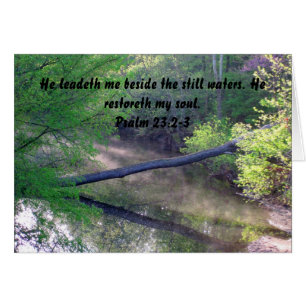 Cala en el salmo brumoso 23 de la mañana de la