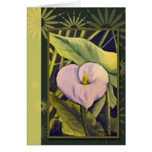 Cala Lilly