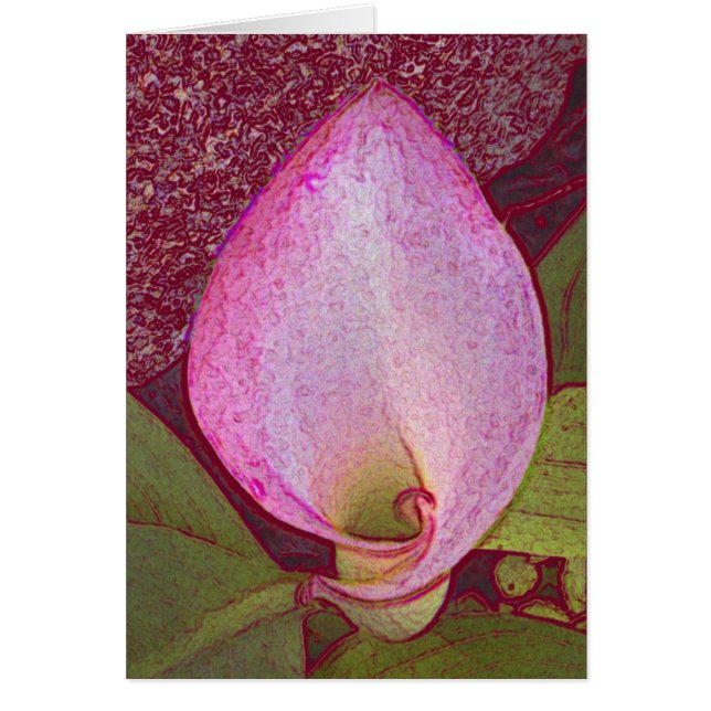 Cala Lilly (Frente)