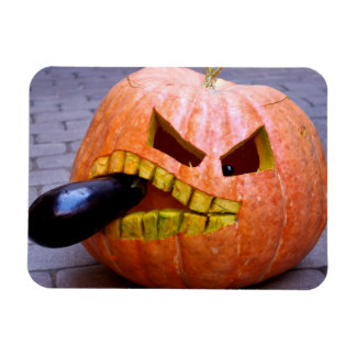 Calabaza con imán de berenjena