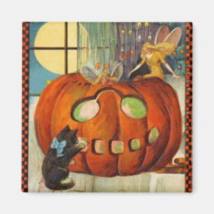 Calabaza de Halloween, imán para gatos de hadas y 