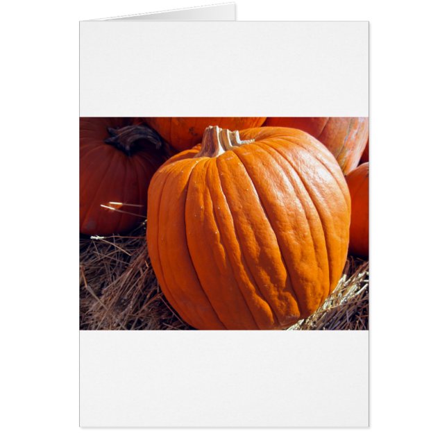 Calabaza naranja (Frente)