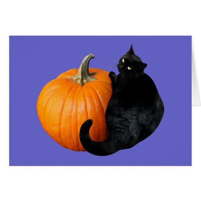 Calabaza para gato negro (Anverso (Horizontal))