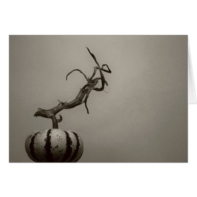 "calabaza" por Larry Coressel (Anverso (Horizontal))